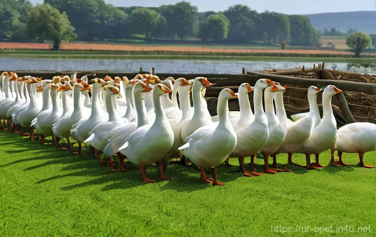 거위 번식 방법 - Here are three detailed image prompts in English, designed for image generation, based on the provid... 거위 번식 방법 - Here are three detailed image prompts in English, designed for image generation, based on the provid...