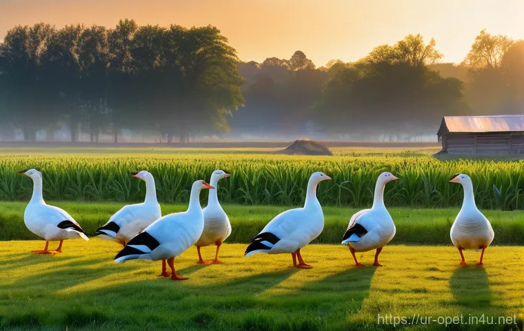 거위 번식 방법 - Prompt 1: A Thriving Goose Farm with Diverse Breeds** 거위 번식 방법 - Prompt 1: A Thriving Goose Farm with Diverse Breeds**